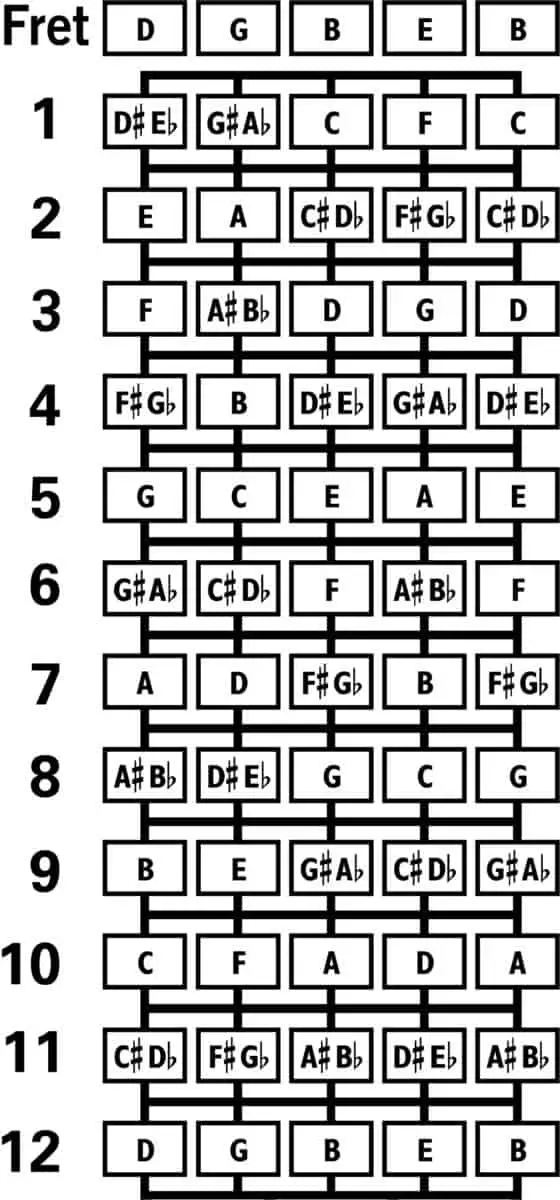 Ronroco Tuning How To Tune a Ronroco Fret Expert
