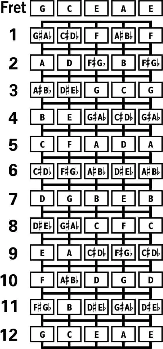 Charango Tuning How To Tune a Charango Complete Guide Fret Expert