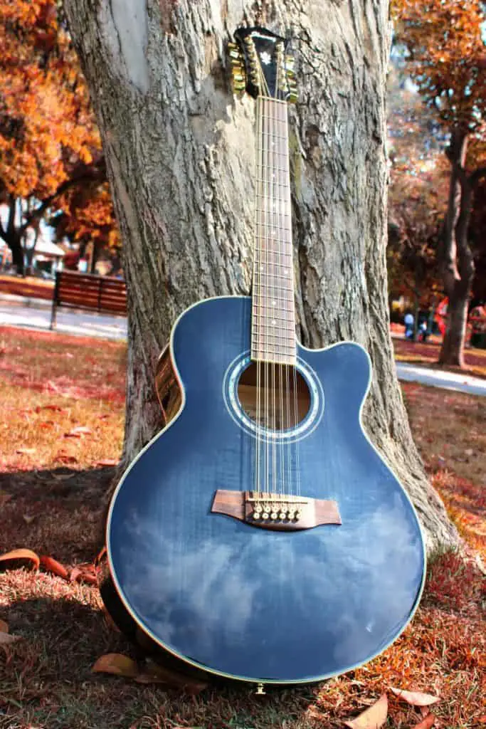 12 string guitar in a wood