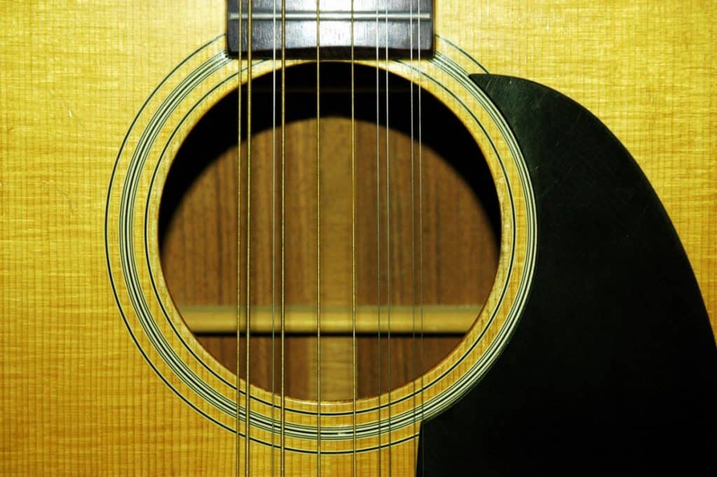 12 string guitar 