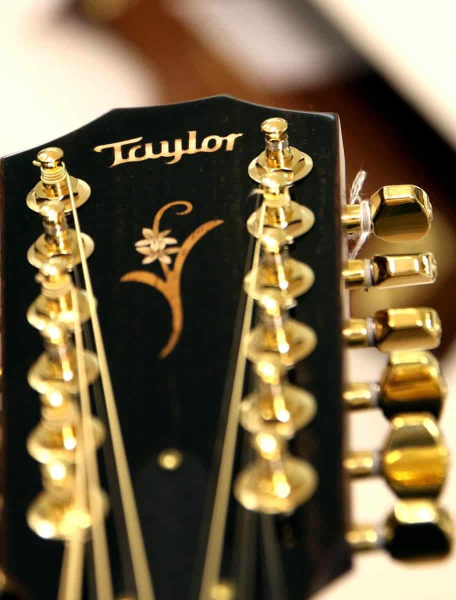 What To Look For When Buying a 12 String Guitar – Fret Expert