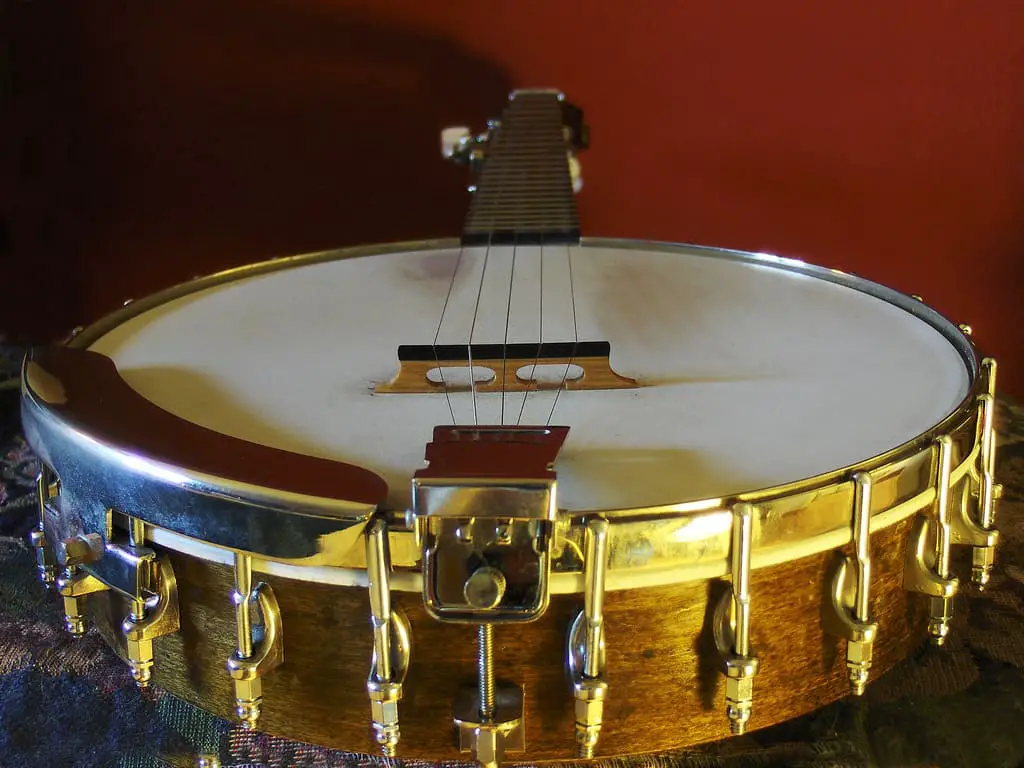 five string banjo