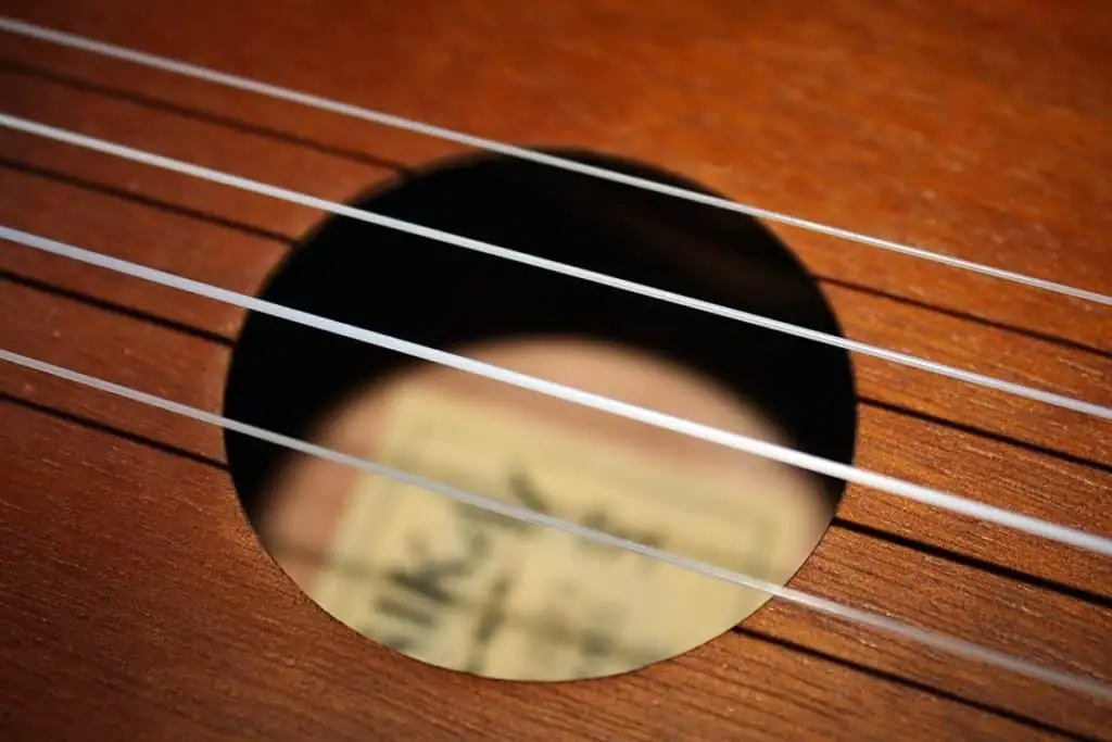 nylon ukulele strings