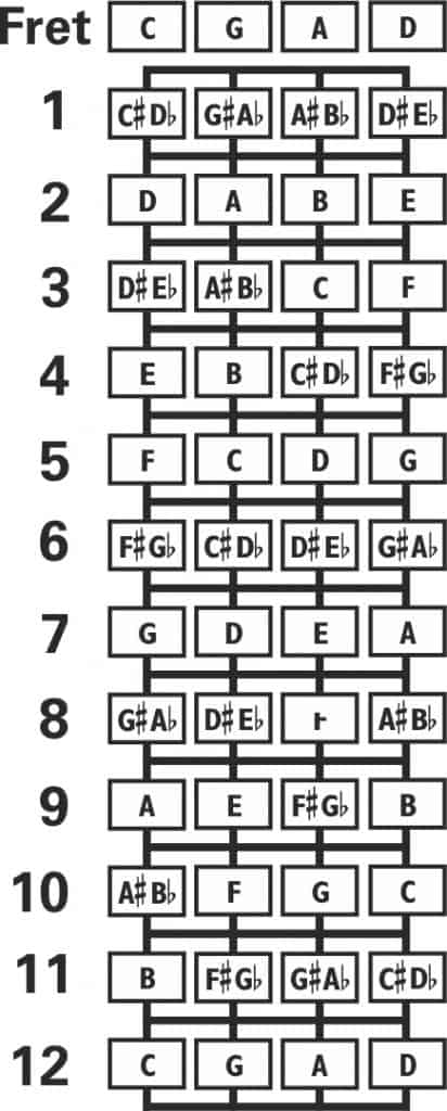 Portuguese cavaquinho fingerboard layout
