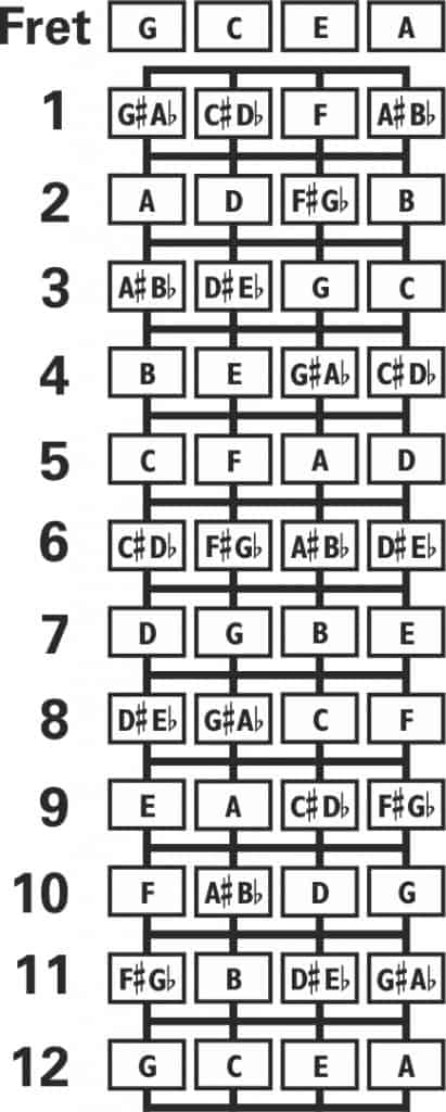 Cavaquinho Ukulele Tuning Fingerboard Layout