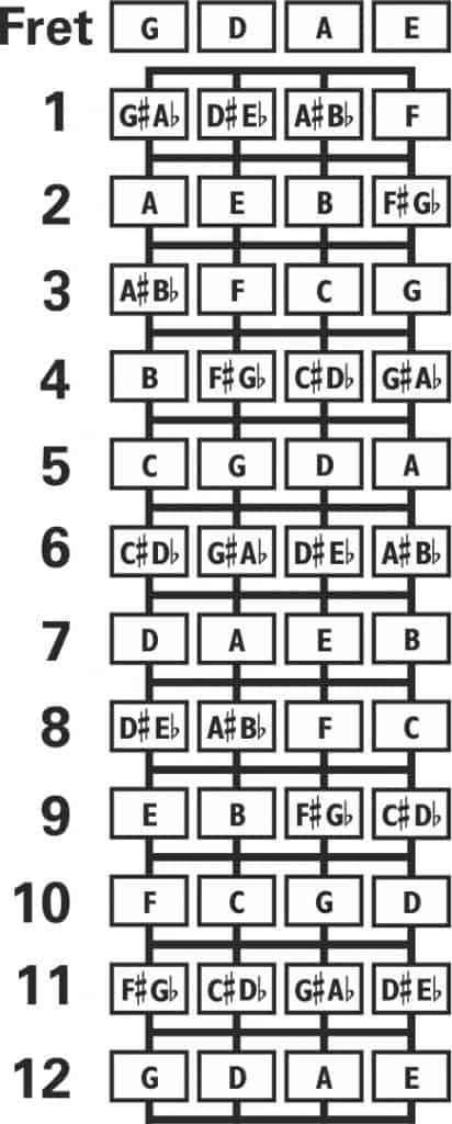 Cavaquinho Mandolin Tuning Fingerboard Layout