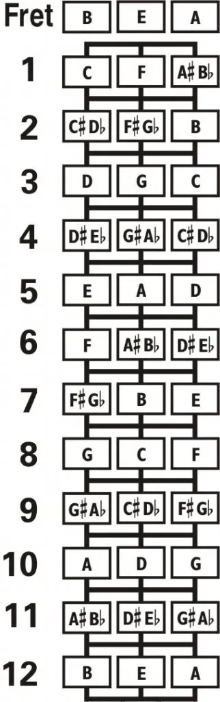 Domra BEA fretboard