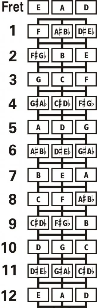 Domra EAD fingerboard