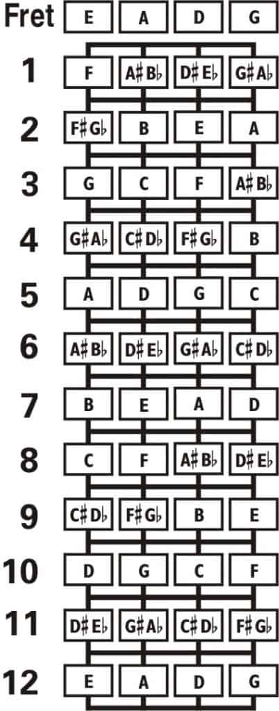 EADG Domra fretboard