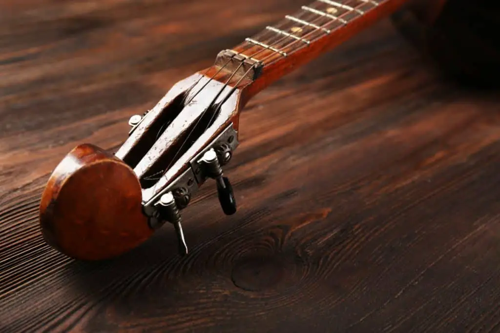 domra fretboard