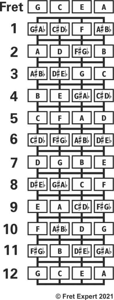 straing and fretboard layout of a concert ukulele