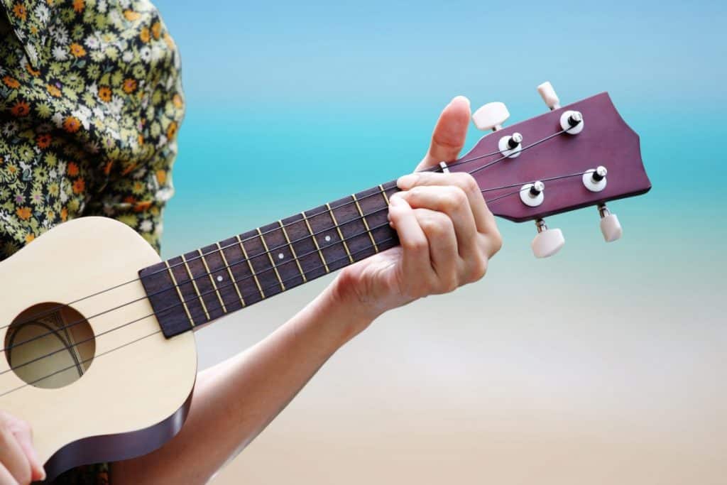 ukulele fretboard