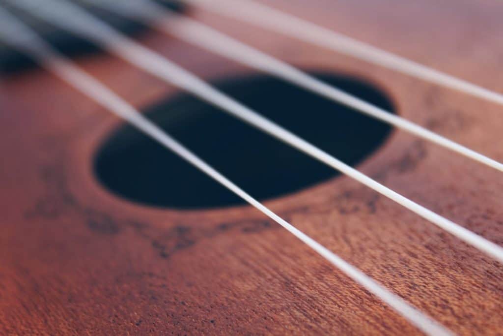 a closeup of uke strings