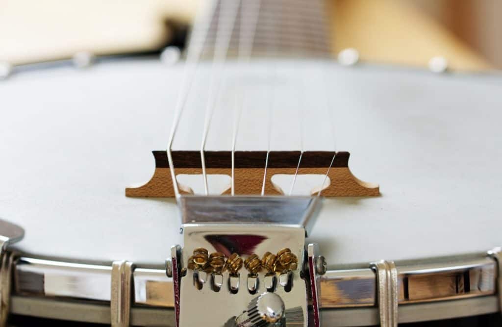 a 6-string banjo